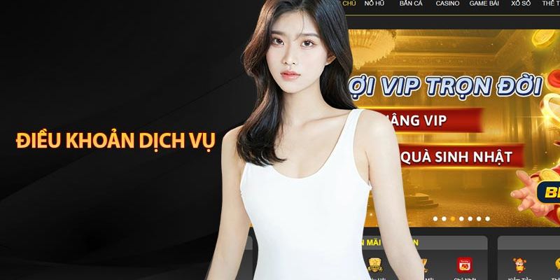 đôi nét về điều khoản dịch vụ 23win